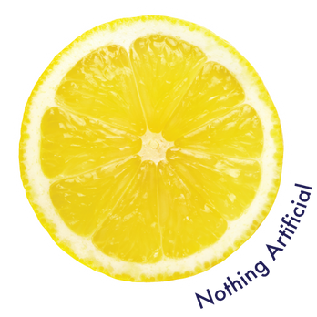 Clementine Lemon 24-Pack