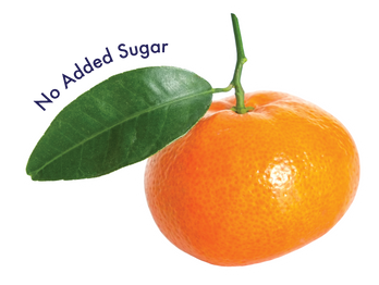 Clementine Lemon 24-Pack