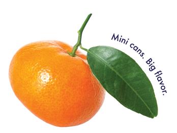 Clementine Lemon 24-Pack