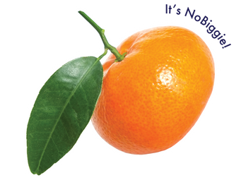 Clementine Lemon 24-Pack